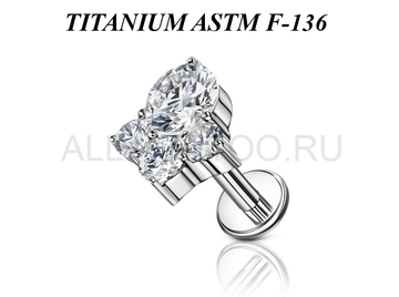 Лабрет из титана Ti Metal тарпея