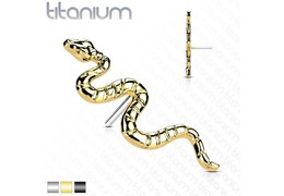 Вставка из титана змея
