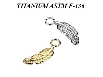 Подвеска из титана перо